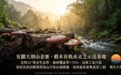 为什么行家选灵芝孢子油必看产地?大别山金寨椴木赤灵芝的三重国际有机认证密码