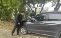 “递进式”执法管住绿地任性停车