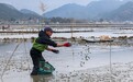 金融赋能向海图强 农行福州分行激活蓝色海洋经济新动能