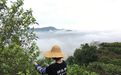 狮头脚深耕凤凰单丛赛道,全产业链布局筑牢品质根基