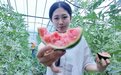 青岛乡里乡亲 | 乡村网络达人 陶文佩:一场网络接力助推瓜农畅通销路