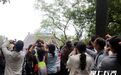 岳麓山上树丫引游客争相“拼心” 成网红打卡点