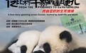 跨越万里山河,续写熊猫情缘——纪录片《从比利牛斯到达瓦更扎》今晚继续播出