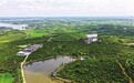 法润油茶更生“金”——写在《信阳市油茶产业发展促进条例》获批之际