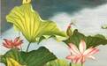小荷才露尖尖角:于云飞油画《映日荷花》赏析