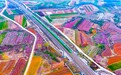青岛乡里乡亲丨党建引领乡村治理成效 王台街道徐村新村:一个千年古村的振兴之路