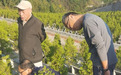 安庆三块查氏古碑已运至独秀园,补证陈独秀母系家世