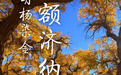 文旅新探丨胡杨染金额济纳