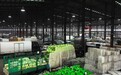 东北“囤秋菜”模式开启!地利农批市场冬储菜销售火热