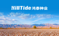 新疆地区适合哪些棉种?哪家质量好?—— 鸿泰种业棉区选种与用种指南