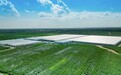 从"建得好" 到 "用得好" ——江苏绿港蹚出设施农业长效运营新路子
