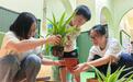 网格聚力植新绿 少年主理“碳”索未来