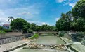 郭文海调研中山兰溪河治水提升工程:巩固治理成效,重现“畅游兰溪”
