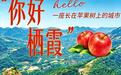10元吃到撑!烟台竟藏着一座“世界苹果城”!