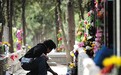 北京殡葬协会回应“公墓紧张”:现有墓地够用50年