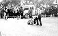 网称永泰民政局前局长坠亡
