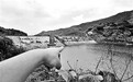 孩子落水全家救 七人溺亡