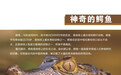 神奇的鳄鱼:呼吸道疾病的克星