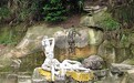 想清凉过周末? 璧山青龙湖避暑好去处