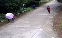 广州一犯罪团伙专盗独居老人 警方提醒年关注意家居防盗