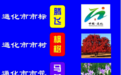 通化评选“市标、市树、市花” 马兰为市花