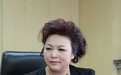 王凤英代表:征收拥堵费需谨慎 决策过程须公开透明