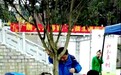 关爱老兵志愿者参加公益植树 纪念百岁去世老兵