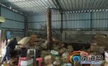 海口一仓库内存山楂片等27种过期食品 流向中小型超市