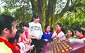 古杨桃树下话家训