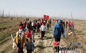 天润·亚心网第八届植树节7000余人西山农牧场植绿