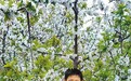 张鑫宇回家吧 姑妈在等你
