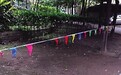 秋水长天