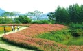 漳州市郊野公园龙文段