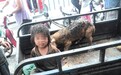 濮阳7岁男童满身伤疤与猪同住