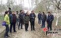 新疆国土资源厅住村工作组组织农民参观学习巴旦姆种植管理技术