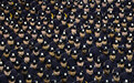 纽约为1200名新警察举行毕业典礼