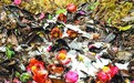 雪 白了山头 心 醉了童话