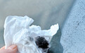 乌鲁木齐市一供热站未“煤改气”“细雨”拂面一脸煤灰