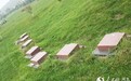 河北推行生态殡葬 石家庄已有上千位海葬者(图)