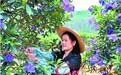 这个女人不简单