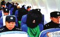 央视《焦点访谈》聚焦 打击电信诈骗不应有法外之地