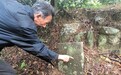 村民发现问路石 从化重现南粤古驿道