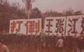陈云谈四人帮:他们祸国殃民还没有任何战功