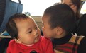 正月初一动车上年轻父母上演“逼亲” 女童主动索吻男童(组图)