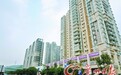 金沙洲或成白云教育最强片区