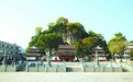 武平定光佛:牵起两岸客家情