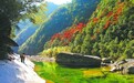 寿宁杨梅洲:寻山问水觅清凉