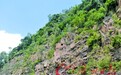 吉水峰有冇纳入保护区?