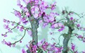 大花蕙兰平了20%