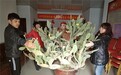 【高清组图】焉耆县巨型仙人掌开花结果引众人观赏